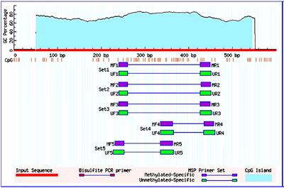 FOXO3 gene hypermethylation and its marked downregulation in breast cancer cases: A study on female patients